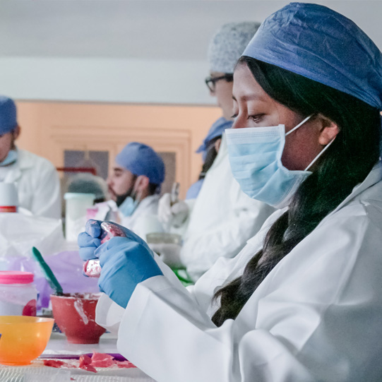 Licenciatura en Odontología Chiapas